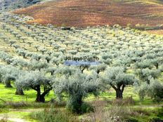 Terreno di 2000 mq in vendita - Vila Nova de Foz Côa, Distrito da Guarda