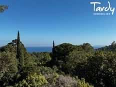 Villa in vendita a Bormes-les-Mimosas Provenza-Alpi-Costa Azzurra Var