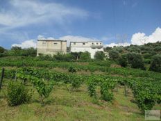 Podere di 120000 mq in vendita - Parada do Bispo, Distrito de Viseu