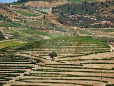 Podere di 195930 mq in vendita - Desejosa, Distrito de Viseu