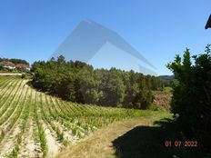 Podere in vendita - Marco de Canaveses, Portogallo