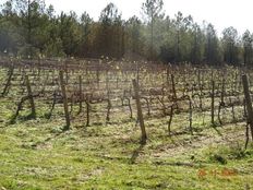 Podere in vendita - Rabaçal, Portogallo