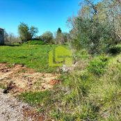 Terreno in vendita - Condeixa-a-Velha, Distrito de Coimbra