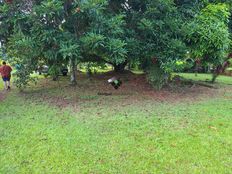 Terreno in vendita a Tohautu Îles du Vent 