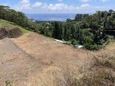 Terreno in vendita a Arue Îles du Vent 