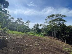 Terreno di 1600 mq - Maatea, Tahiti