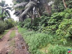 Terreno di 1866 mq in vendita - Taiarapu, Îles du Vent