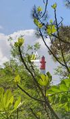 Casa di lusso in vendita a Lège-Cap-Ferret Nouvelle-Aquitaine Gironda