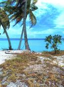 Terreno in vendita a Teavaroa Îles Tuamotu-Gambier 