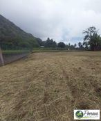 Terreno di 1442 mq in vendita - Tahiti, Polinesia francese