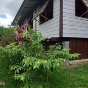 Casa di lusso in vendita a Haapiti Îles du Vent 