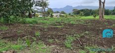 Terreno in vendita a Taiarapu Îles du Vent 