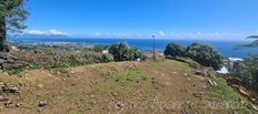 Terreno in vendita a Arue Îles du Vent 