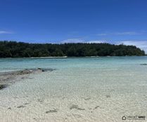 Terreno in vendita a Haapiti Îles du Vent 