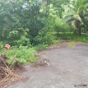 Terreno in vendita - Haapiti, Îles du Vent