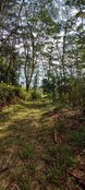 Terreno in vendita a Mahina Îles du Vent 