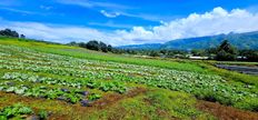 Terreno in vendita a Taravao Tahiti District de Vairao