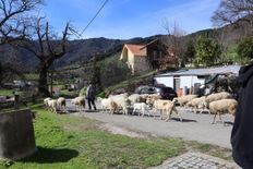 Casa di prestigio di 40000 mq in vendita Manteigas, Distrito da Guarda