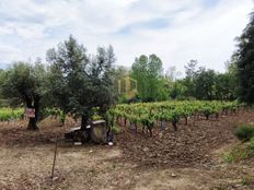 Terreno in vendita a Mealhada Distrito de Aveiro Mealhada