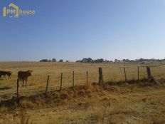 Terreno di 230000 mq - Évora, Distrito de Évora