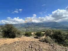 Terreno in vendita a Monticello Corsica Corsica settentrionale