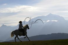 Terreno in vendita - Chamonix-Mont-Blanc, Alvernia-Rodano-Alpi