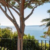 Casa di lusso in vendita a Cannes Provenza-Alpi-Costa Azzurra Alpi Marittime