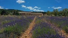 Casa di lusso in vendita a Sault Provenza-Alpi-Costa Azzurra Vaucluse