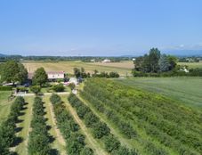 Casa di lusso in vendita a Livron-sur-Drôme Alvernia-Rodano-Alpi Drôme