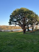 Casa di lusso in vendita a Crach Bretagna Morbihan