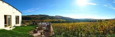 Casa di lusso in vendita a Mâcon Bourgogne-Franche-Comté Saône-et-Loire