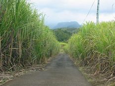 Terreno in vendita a Bras-Panon Réunion Riunione