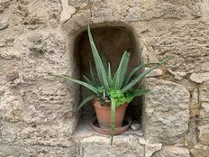 Casa di lusso in vendita a Uzès Occitanie Gard