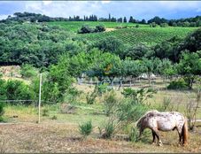 Prestigiosa casa di 250 mq in vendita Alairac, Linguadoca-Rossiglione-Midi-Pirenei