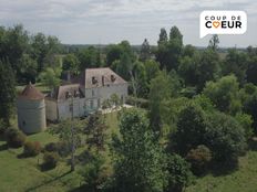 Casa di prestigio di 313 mq in vendita Neuville-lès-Decize, Francia