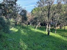 Terreno in vendita - Le Plan-de-la-Tour, Provenza-Alpi-Costa Azzurra