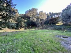 Terreno in vendita - Porto Vecchio, Francia