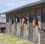 Casa di lusso in vendita a Beyssenac Nouvelle-Aquitaine Corrèze