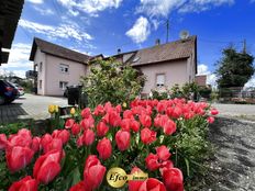 Casa di lusso in vendita a Saint-Louis Grand Est Alto Reno