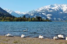 Albergo in vendita a Zell am See Salisburghese Politischer Bezirk Zell am See