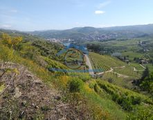 Rustico o Casale in vendita a Peso da Régua Distrito de Vila Real Peso da Régua