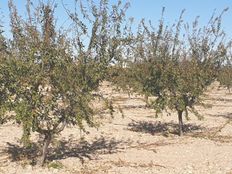 Terreno in vendita a Jumilla Región de Murcia Murcia