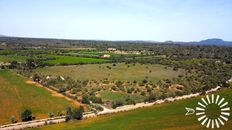 Lussuoso casale in vendita Campos, Isole Baleari