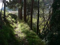 Lussuoso casale in vendita Xixona, Spagna