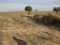 Terreno in vendita - Jumilla, Región de Murcia