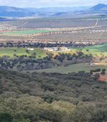 Terreno in vendita - Porzuna, Castilla-La Mancha