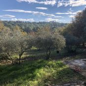 Casa di lusso in vendita a Lorgues Provenza-Alpi-Costa Azzurra Var