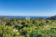 Villa in vendita a Cavalaire-sur-Mer Provenza-Alpi-Costa Azzurra Var