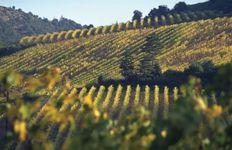 Rustico o Casale in vendita a Limoux Occitanie Aude