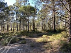 Terreno di 801 mq in vendita - Alcácer do Sal, Distrito de Setúbal